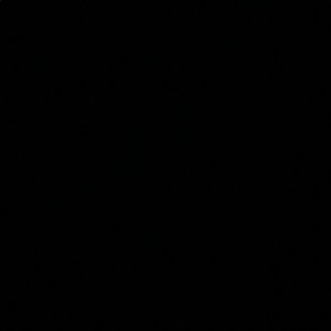 Meet your Posher, Jaylee